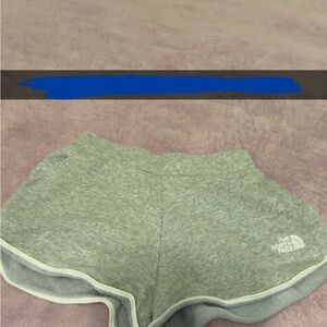 The North Face Women's Gray Shorts